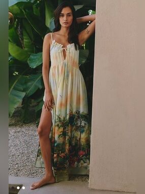 Anthropologie Celandine Sleeveless Scenic Maxi Dress